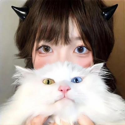 我的名字叫可汗